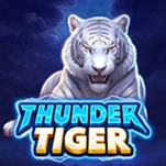 Thunder Tiger Thunder Tiger